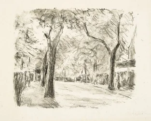 Viale